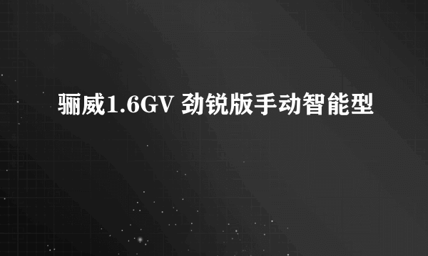 骊威1.6GV 劲锐版手动智能型