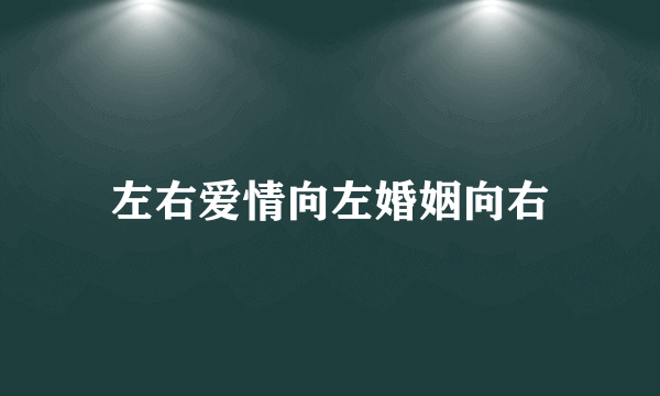 什么是左右爱情向左婚姻向右