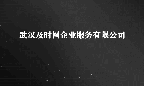 武汉及时网企业服务有限公司