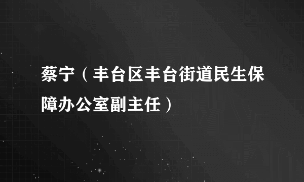 蔡宁（丰台区丰台街道民生保障办公室副主任）