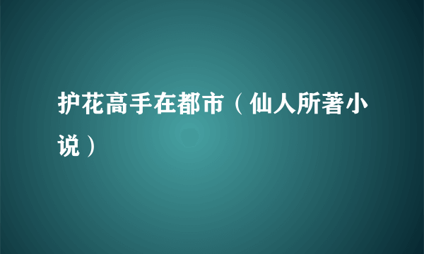 什么是护花高手在都市（仙人所著小说）