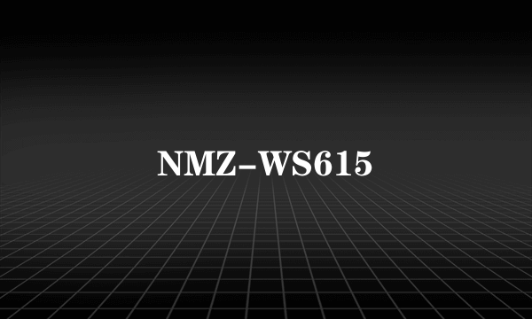 什么是NMZ-WS615