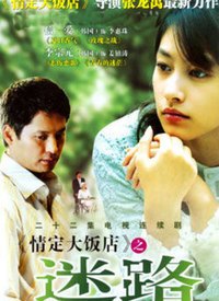 迷路（2007年张龙禹执导伦理剧情家庭电视剧）