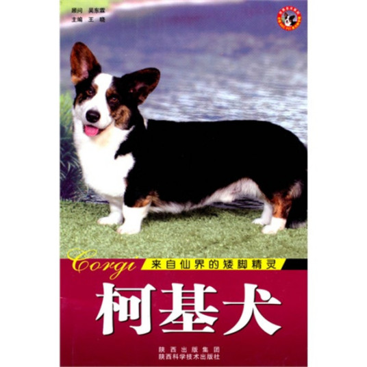 什么是世界名犬：柯基犬