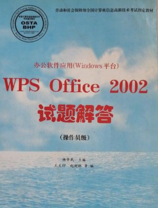 什么是WPS OFFICE 2002试题解答（操作员级）