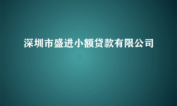 深圳市盛进小额贷款有限公司