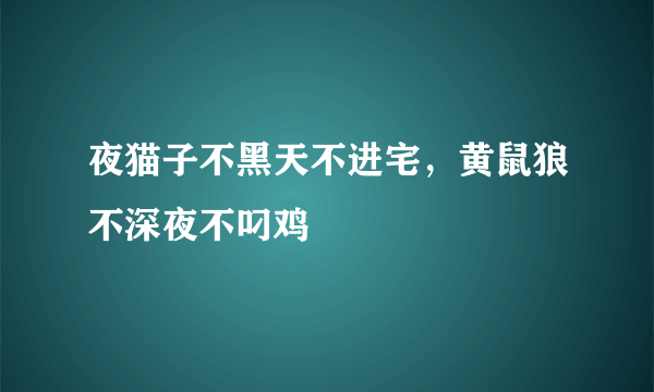 夜猫子不黑天不进宅，黄鼠狼不深夜不叼鸡