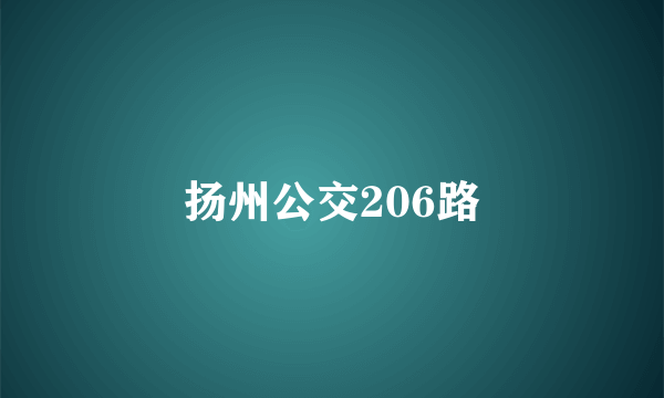 扬州公交206路