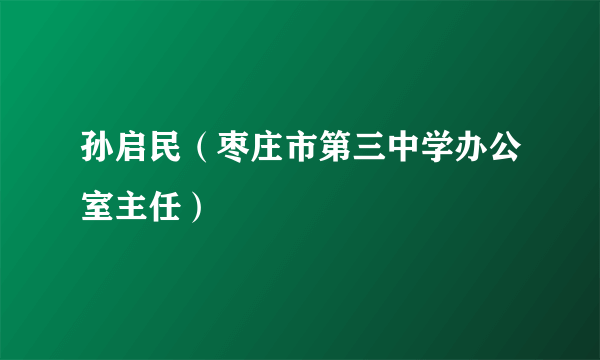 孙启民（枣庄市第三中学办公室主任）