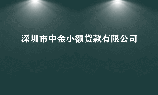 深圳市中金小额贷款有限公司