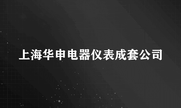 什么是上海华申电器仪表成套公司