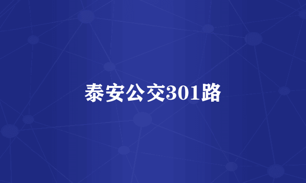 泰安公交301路