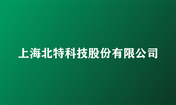 上海北特科技股份有限公司