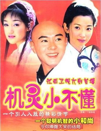 什么是机灵小不懂（2001年张卫健主演的电视剧）