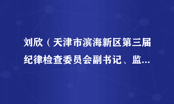 什么是刘欣（天津市滨海新区第三届纪律检查委员会副书记、监察委员会副主任）