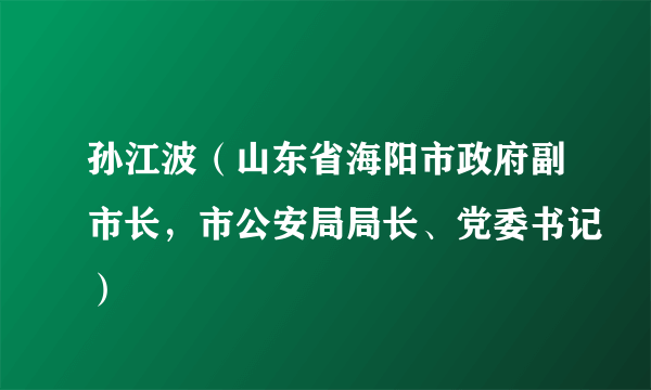 孙江波（山东省海阳市政府副市长，市公安局局长、党委书记）