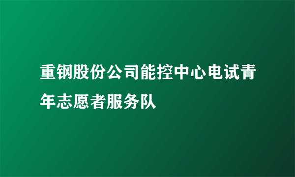 重钢股份公司能控中心电试青年志愿者服务队