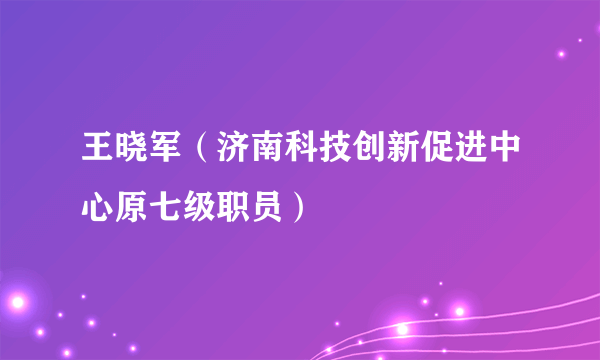 王晓军（济南科技创新促进中心原七级职员）