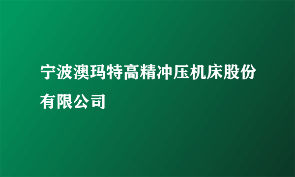 宁波澳玛特高精冲压机床股份有限公司