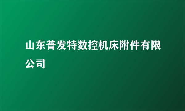 山东普发特数控机床附件有限公司