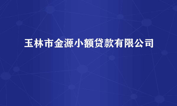 什么是玉林市金源小额贷款有限公司