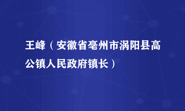 王峰（安徽省亳州市涡阳县高公镇人民政府镇长）