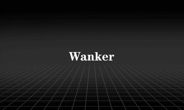 什么是Wanker