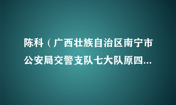 陈科（广西壮族自治区南宁市公安局交警支队七大队原四级警长）