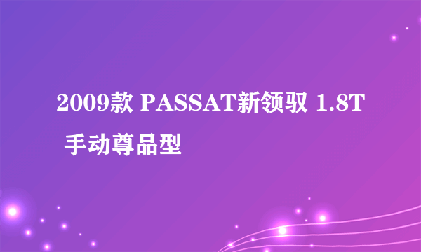 2009款 PASSAT新领驭 1.8T 手动尊品型