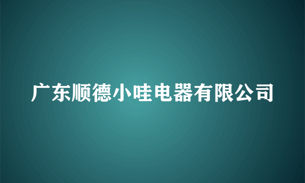 广东顺德小哇电器有限公司