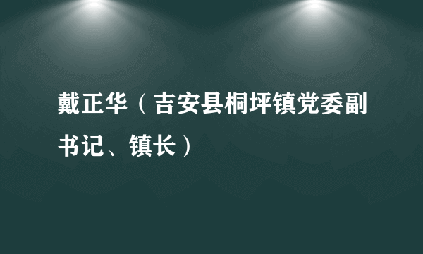 戴正华（吉安县桐坪镇党委副书记、镇长）