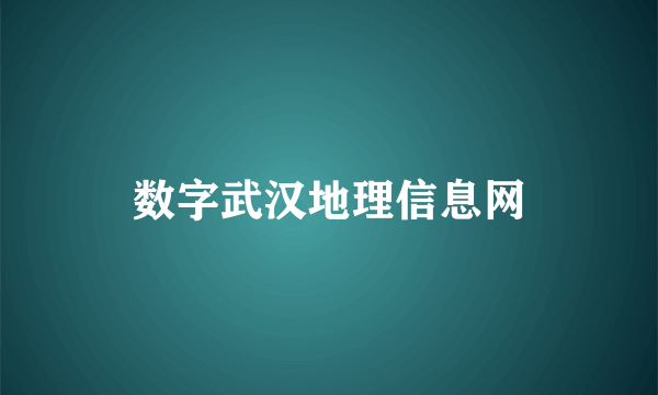 数字武汉地理信息网