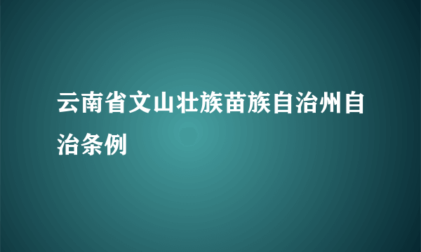 什么是云南省文山壮族苗族自治州自治条例