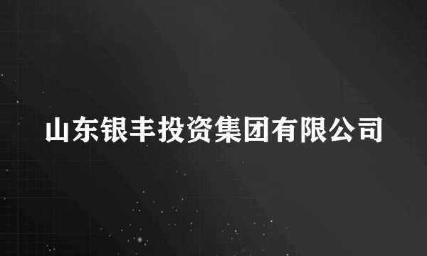 山东银丰投资集团有限公司