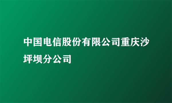 中国电信股份有限公司重庆沙坪坝分公司