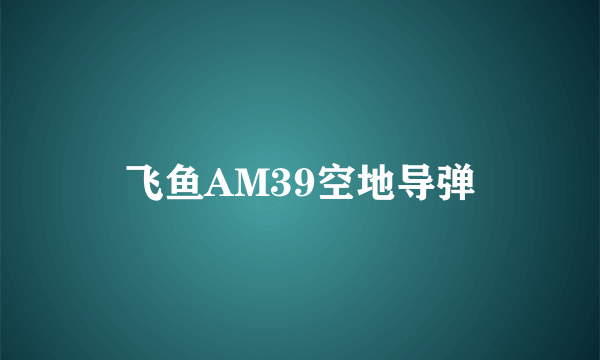 什么是飞鱼AM39空地导弹