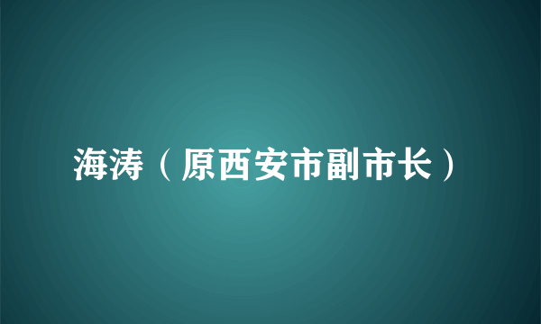 什么是海涛（原西安市副市长）