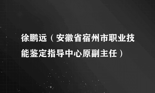 什么是徐鹏远（安徽省宿州市职业技能鉴定指导中心原副主任）