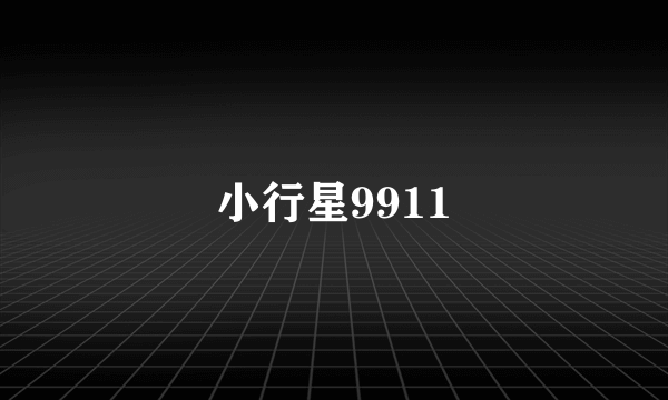 什么是小行星9911