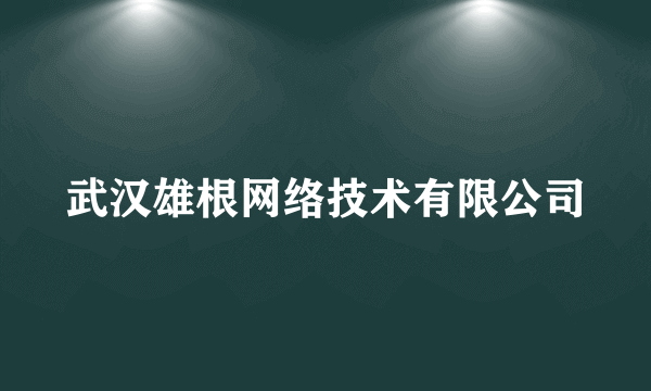 武汉雄根网络技术有限公司