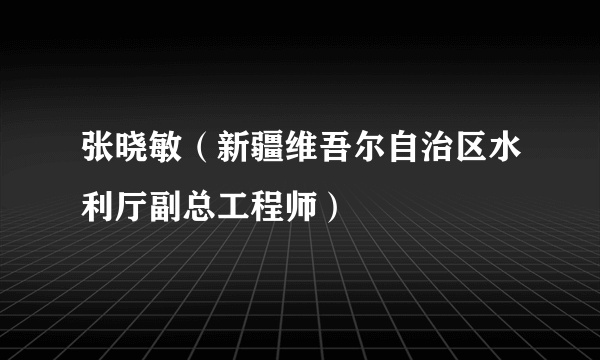 张晓敏（新疆维吾尔自治区水利厅副总工程师）