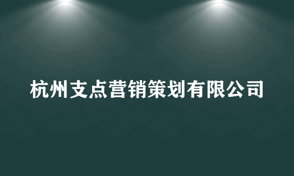 杭州支点营销策划有限公司