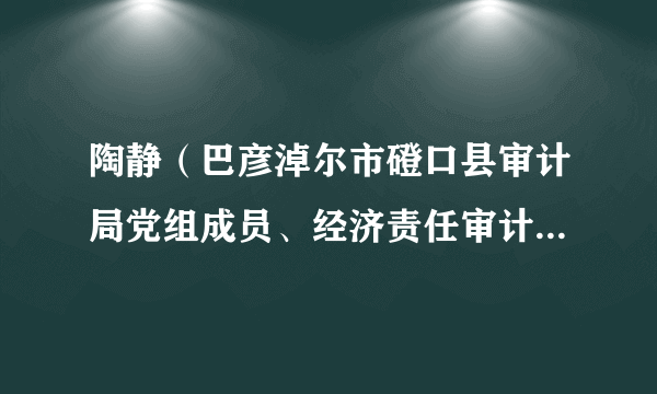 陶静（巴彦淖尔市磴口县审计局党组成员、经济责任审计服务中心主任）