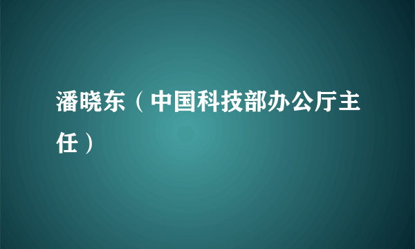 潘晓东（中国科技部办公厅主任）