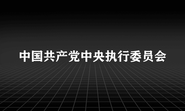 中国共产党中央执行委员会