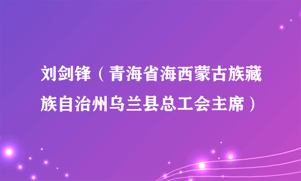 刘剑锋（青海省海西蒙古族藏族自治州乌兰县总工会主席）