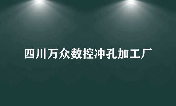 什么是四川万众数控冲孔加工厂