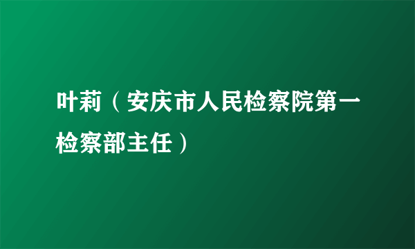 叶莉（安庆市人民检察院第一检察部主任）