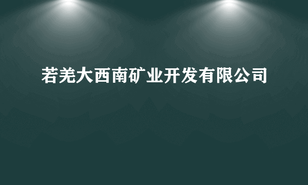 若羌大西南矿业开发有限公司