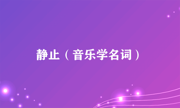 静止（音乐学名词）